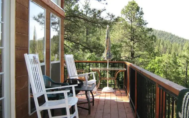The Evergreen Oasis