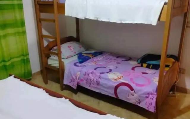 Backpackers La Casa De Payaso