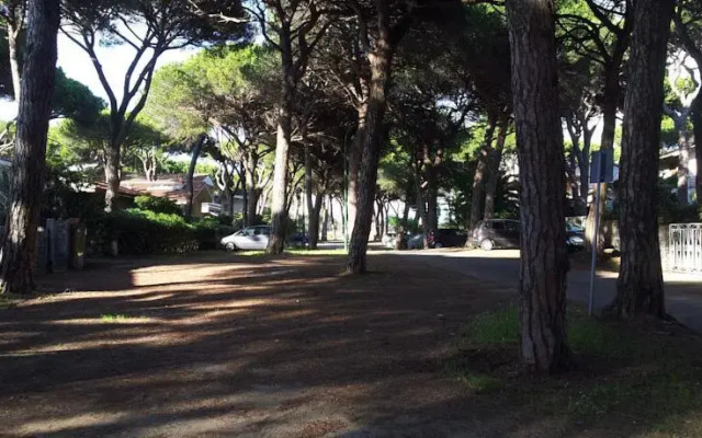 Mare Immobiliare