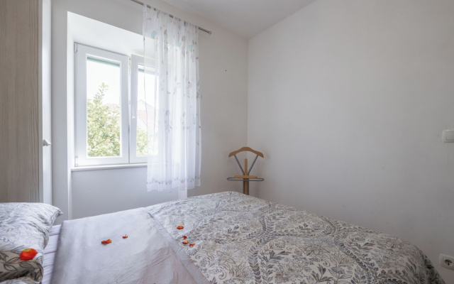 Apartment Rot