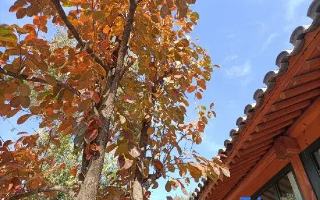 Beijing Fanshe Weizishui B&B