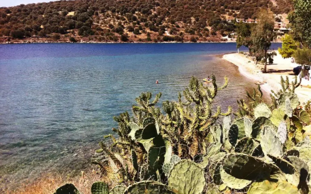 Sea Front Studio - Porto Boufalo - Evia