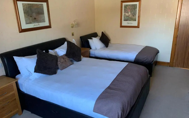 Pine Guest House