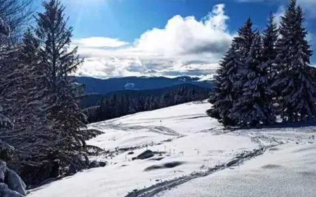 Au grand air