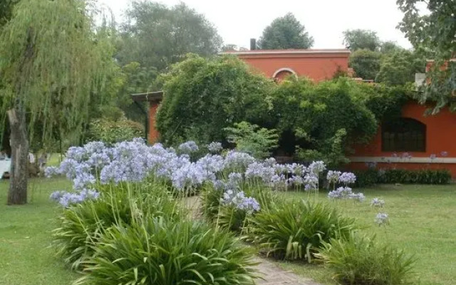 Los Viejos Ombúes