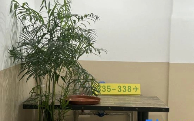 Guangzhou Owl Inn.