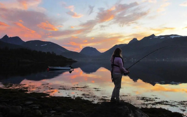 Fjordbotn Camping
