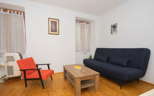 Downtown apartment Danica