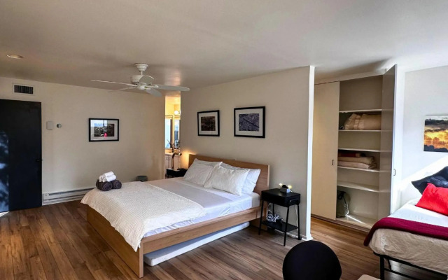 Chic in the City in Houston