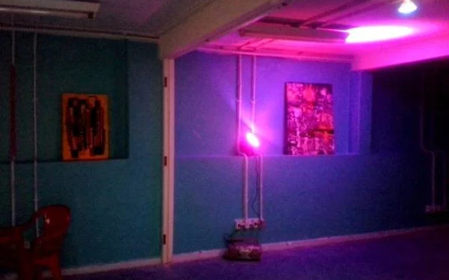 BananaZ Hostel
