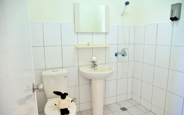 Bubbling Bunny Café - Hostel