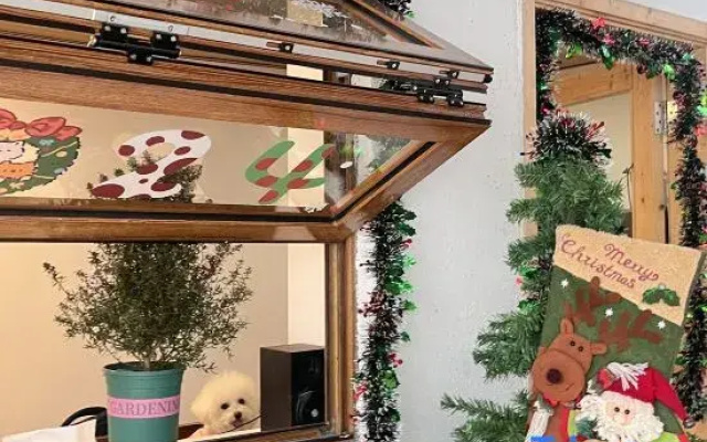 Zhuhai Wanshan Island Xingyu Homestay
