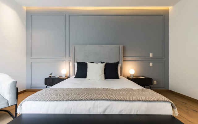 Casai Polanco 2 BR 2BA Sophisticated Suite