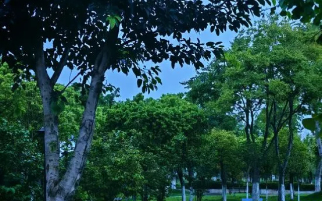 ZiYang No Difference·Tuopan Qingyuan Guesthouse