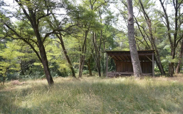 Le moulin vieux