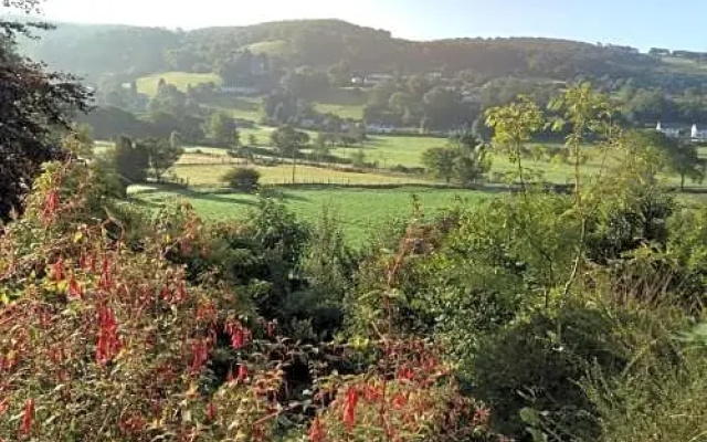 Bryncoed