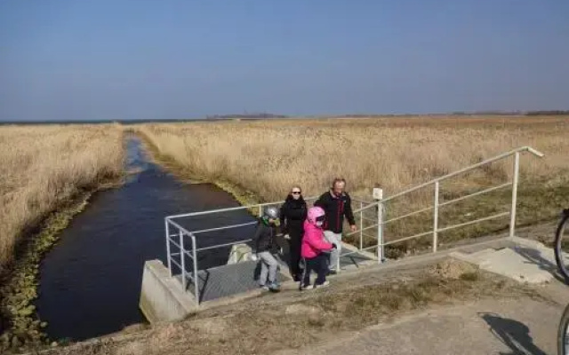 Wodnik