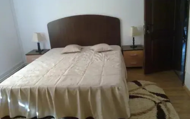 Pension Roua