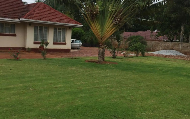 Palm villa