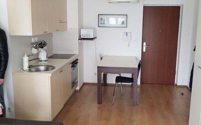 Отель Apollo 3 Apartman Венгрия, Будапешт - отзывы, цены и фото номеров - забронировать отель Apollo 3 Apartman онлайн