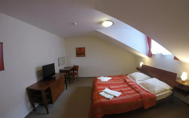 Hotel Vion