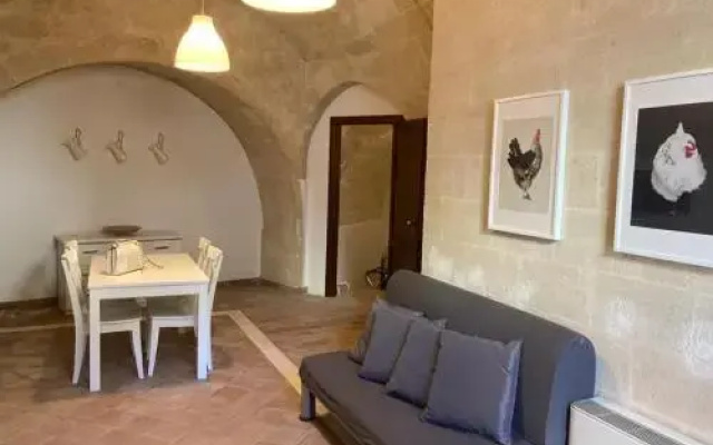 Gatto Bianco Matera