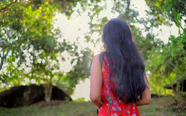 Mangrove Escapes