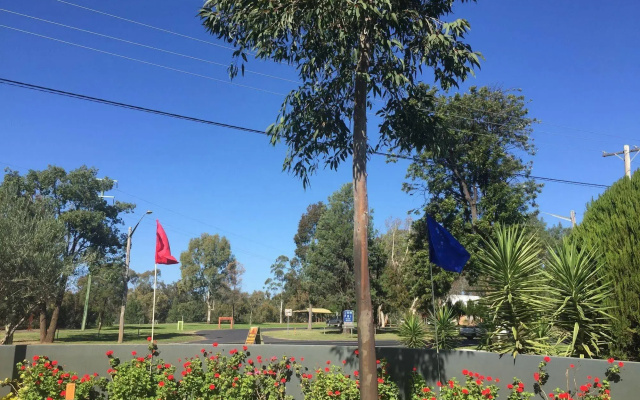 Silver Oaks Motel