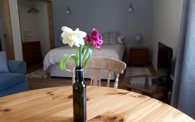 Glyndwr Vineyard