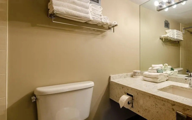Cahilty #329 1 Bedroom Home
