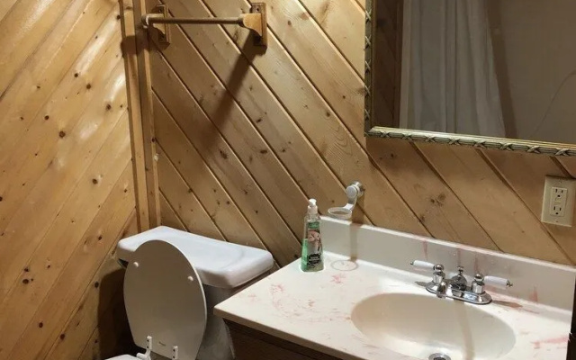 A Cabin In The Woods