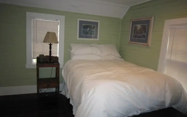 Historical Downtown Home