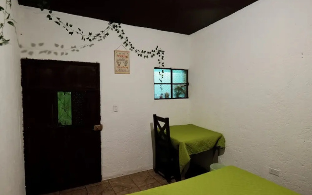 Wonderland Hostel