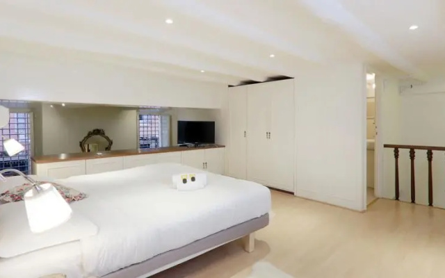 DS Palazzo Borghese Loft