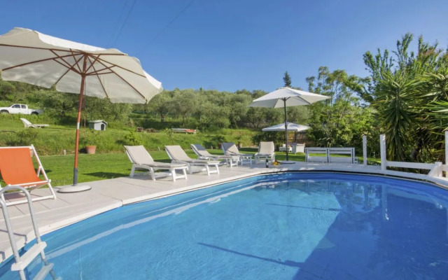 House Olivo Massarosa