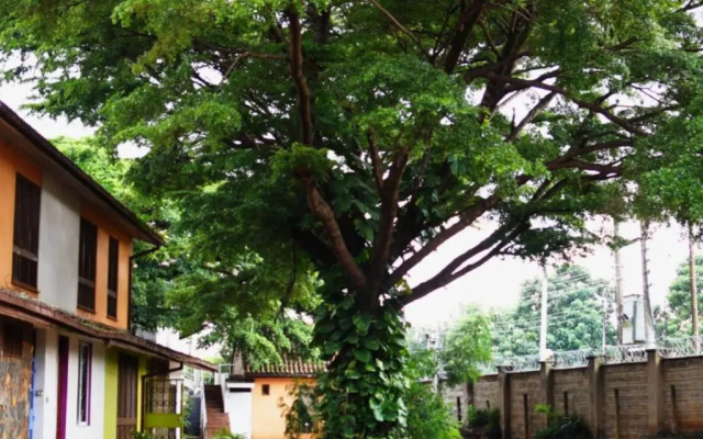 Spacious Studio - Kogelo, Milimani Kisumu