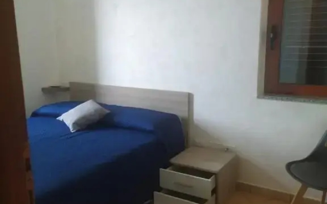 Nel7