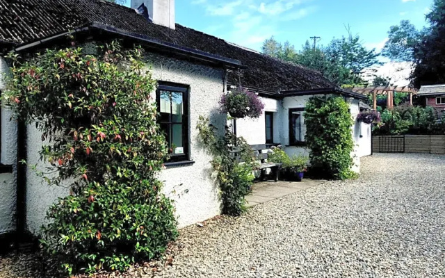 The Wicklow Escape