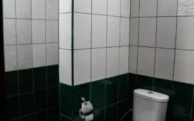 Pensiunea Jiul
