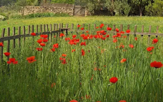 B&B Jardins de Vies
