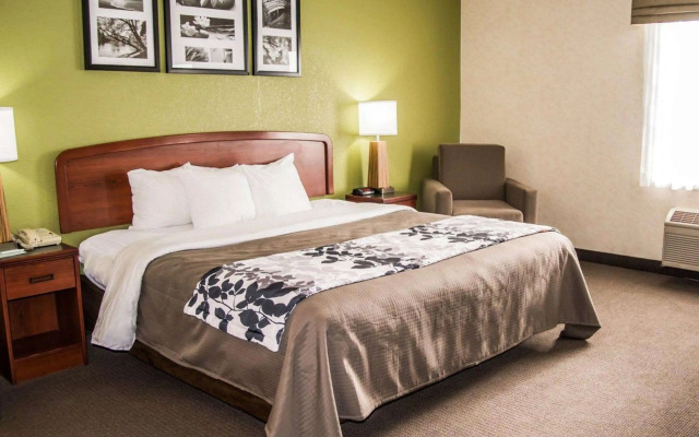 Sleep Inn & Suites Allendale