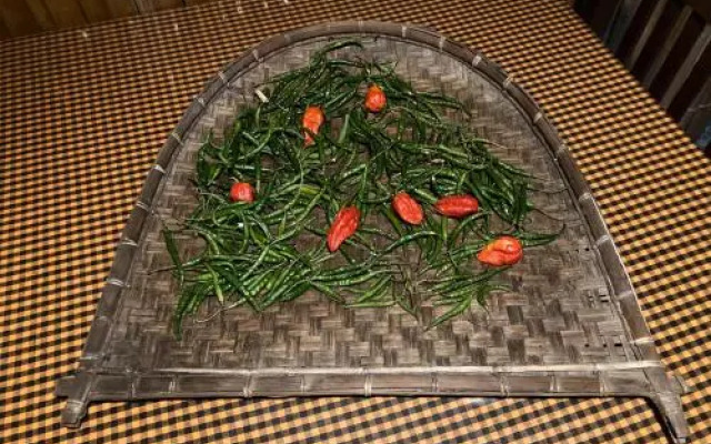 Bononi