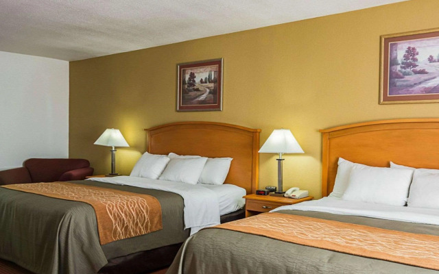Comfort Inn & Suites Chesapeake - Portsmouth