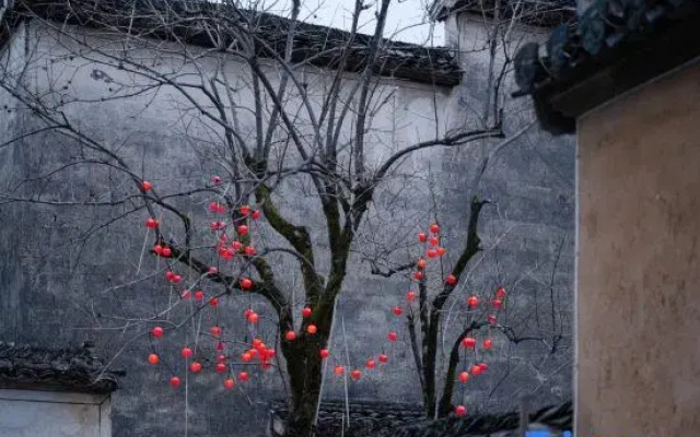 Hongcun GusheGuxiang Experience Homestay