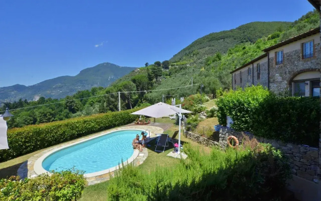 Ginepro Grillo in Camaiore
