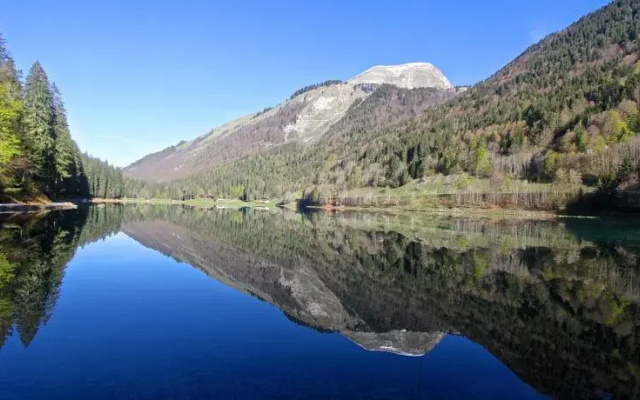 Chalet Plagnat