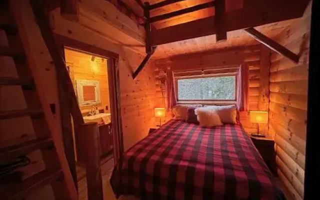 Chalet Husky 6