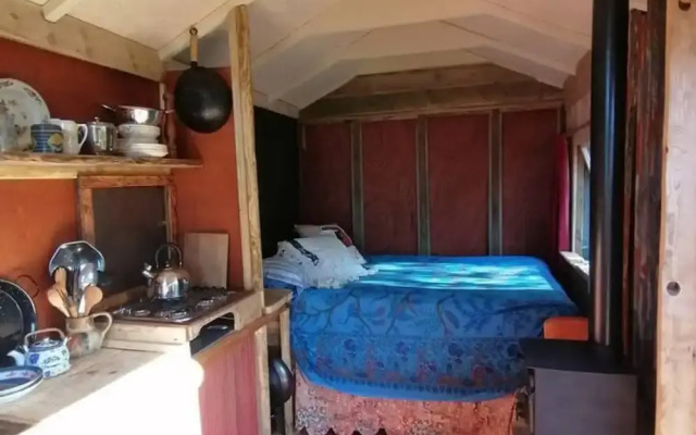 Totnes - Cabin - Sleeps 4 - Garden - Parking