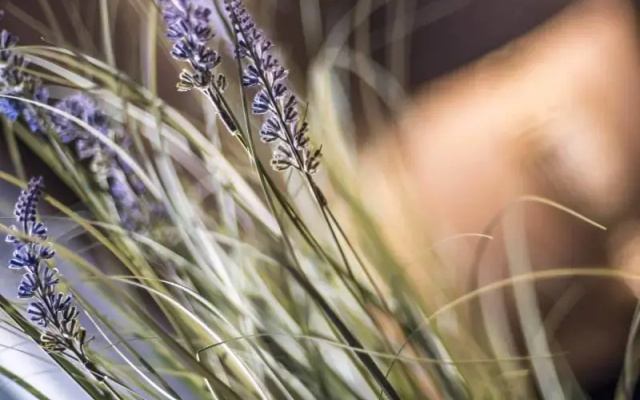 N'ista Boutique Rooms Birkdale - Southport