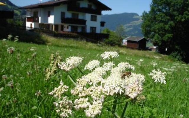 Appartement Hollaus